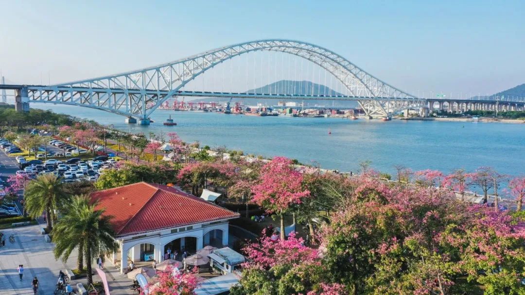 1702363756368110.jpg 9.jpg