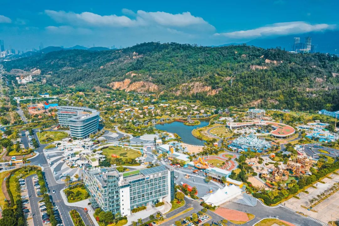 1702865257176712.jpg 6.jpg