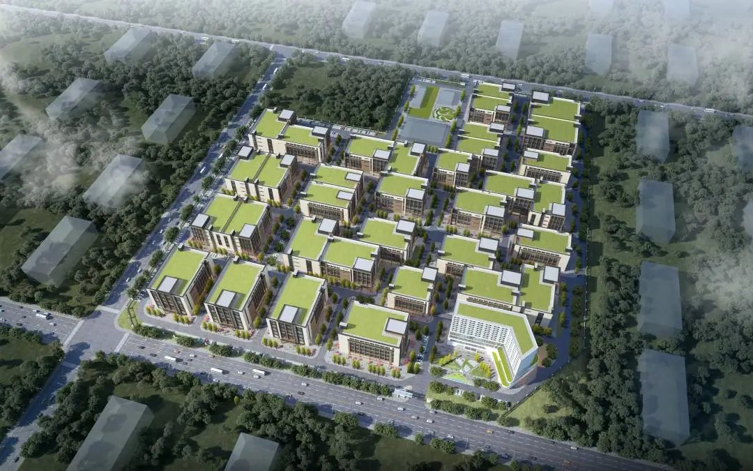 1703129148863074.jpg 16.jpg