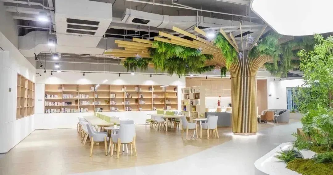 1707186914957087.jpg 5.jpg