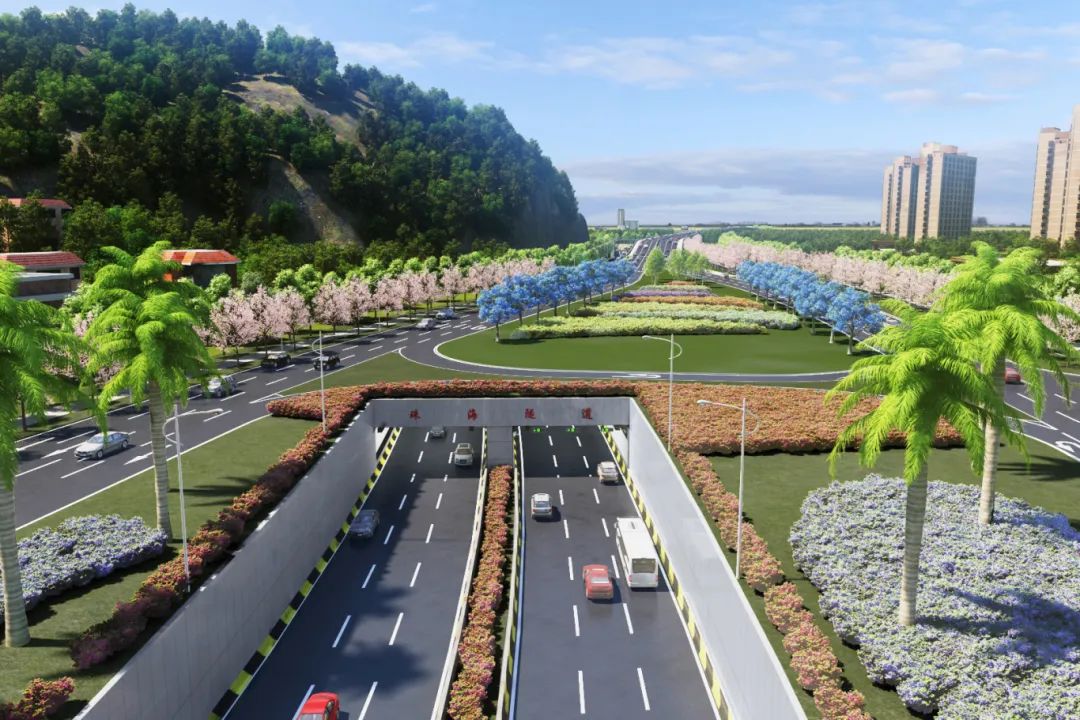 1741162545137329.jpg 2.jpg